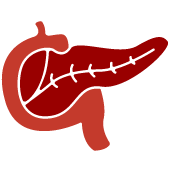 gastro-debora-poli-pancreas